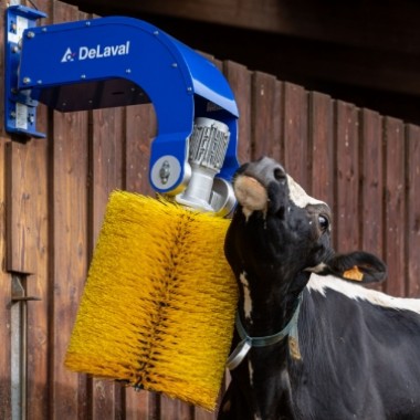 Conforto Animal DeLaval